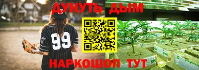 ГАЛЛЮЦИНОГЕННЫЕ ГРИБЫ Ярославль