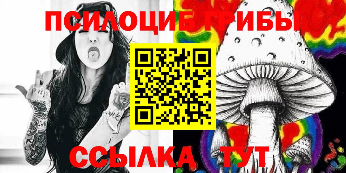 Галлюциногенные грибы Cubensis Михайловка