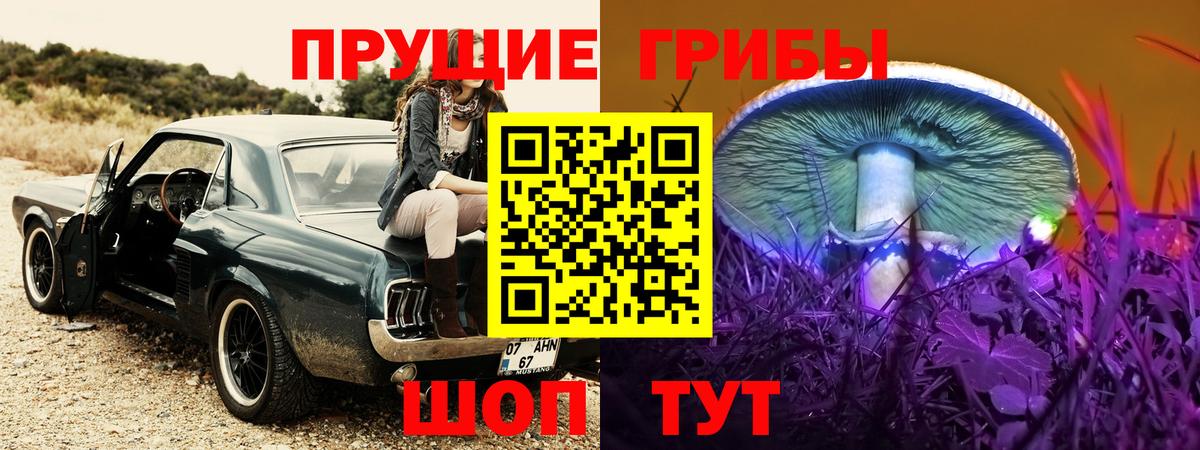 Галлюциногенные грибы прущие грибы  Галлюциногенные грибы Magic Shrooms  купить   Михайловка  Вход с VPN 